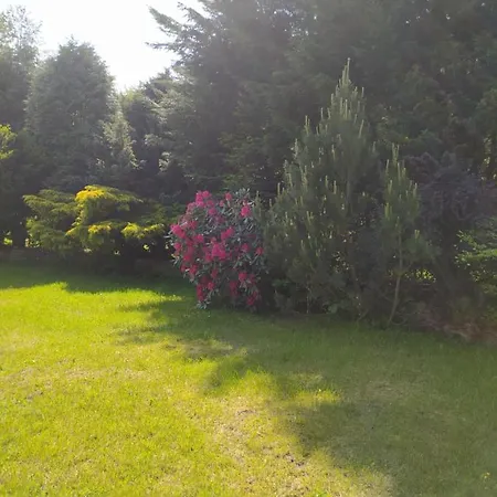 Chata Hamrovka Holiday home